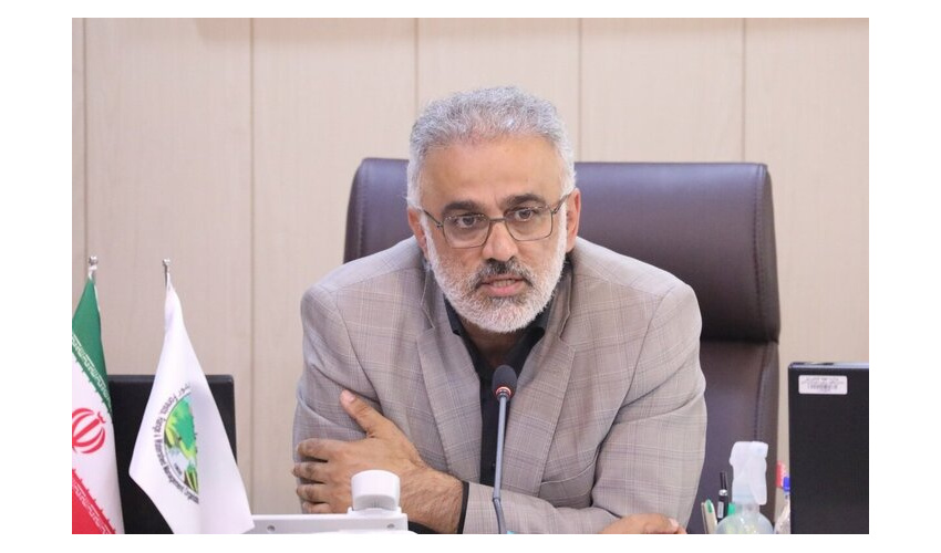 درختی از جنگل قطع شود، دیگر جایگزین ندارد!