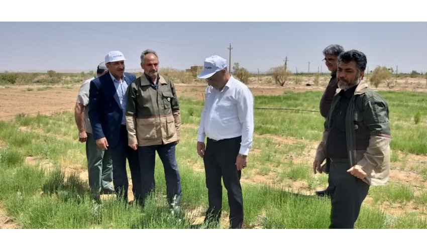 حفاظت از منابع طبیعی آسان نیست/نیازمند دانش جدید هستیم