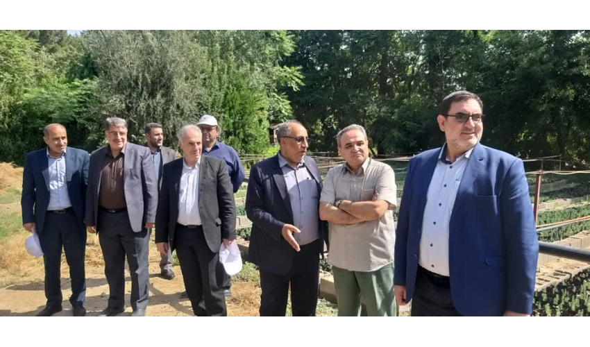 ضرورت توجه دولت و مجلس به طرح کاشت یک میلیارد درخت در برنامه هفتم توسعه 