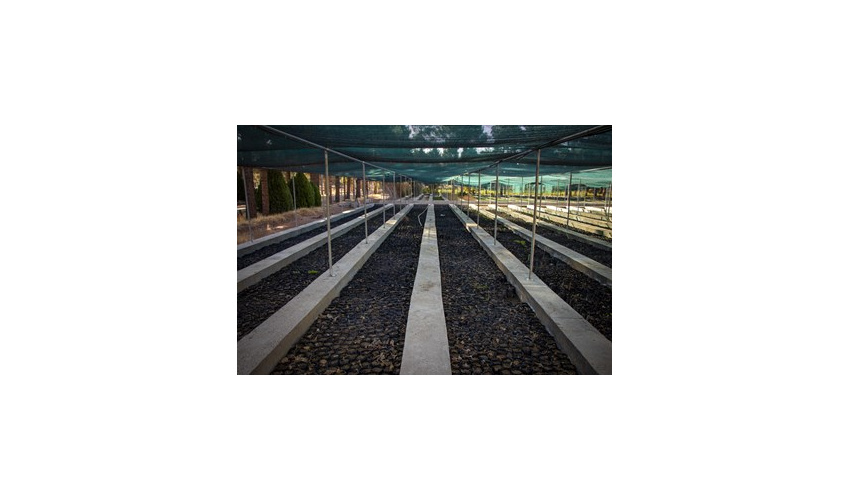 فرسايش خاک ايران 2 برابر ميانگين جهاني است