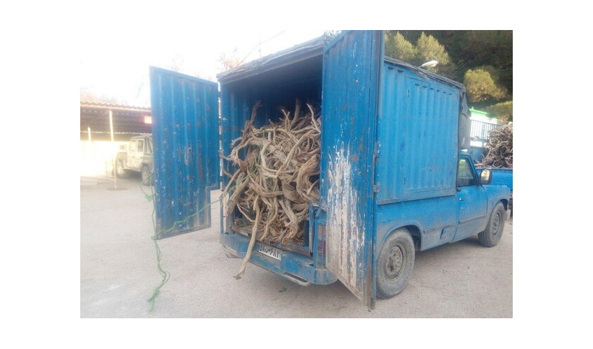  توقیف خودروی حامل چوب تاغ قاچاق درشهرستان گرمسار