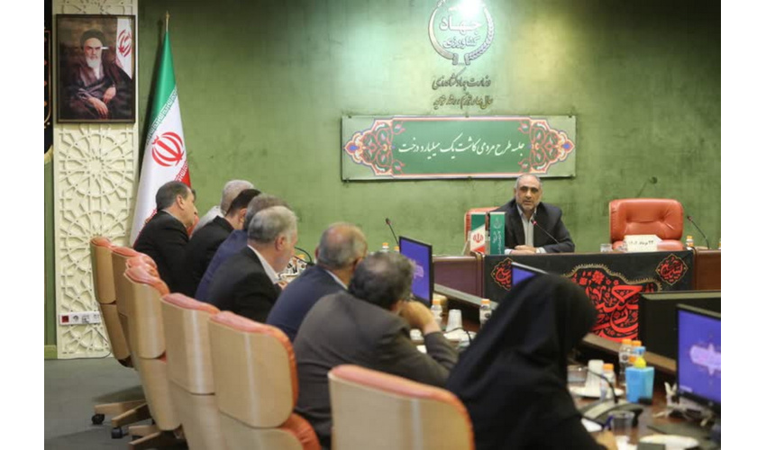 وزیر جهاد کشاورزی: مسیر «طرح کاشت یک میلیارد درخت» راه بی بازگشت است