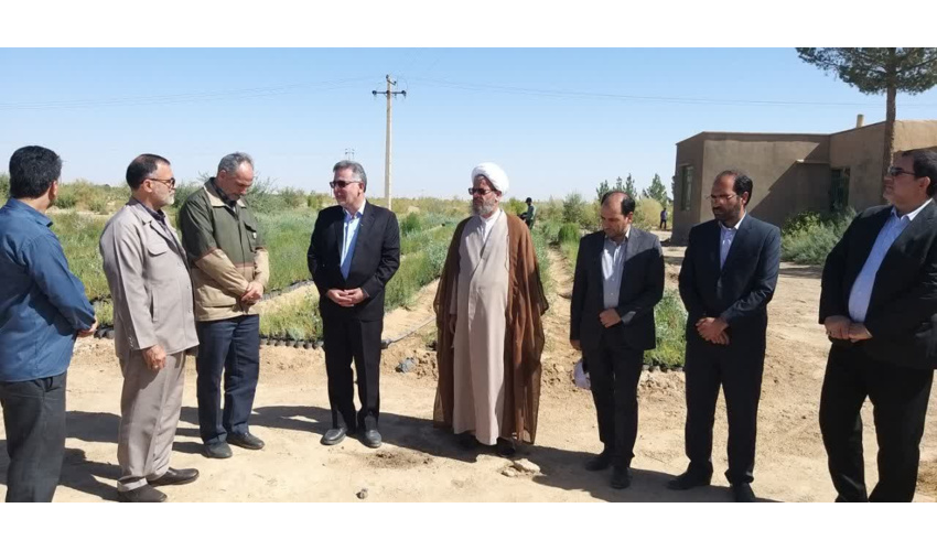 ۴۰۰ هزار نهال درسالجاری از طرح مردمی یک میلیارد درخت  شهرستان دامغان تولید شد 