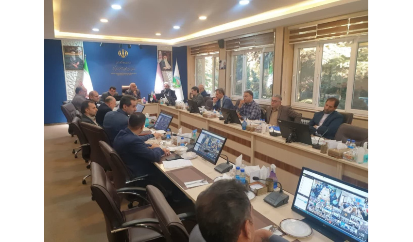 سامانه تولید و کاشت درخت راه اندازی شد