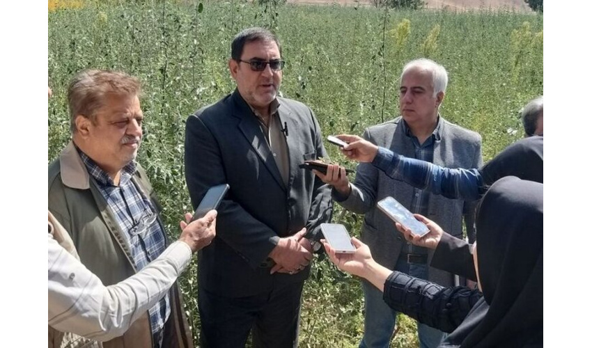 تولید بیش از یک میلیون اصله نهال در نهالستان چغولگیر شهرستان شاهرود 