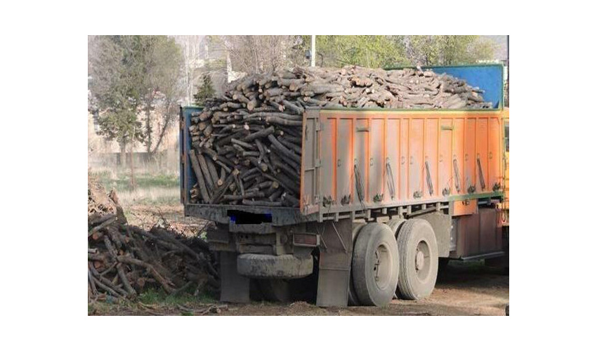  کشف ۲ و نیم تن چوب تاغ قاچاق به ارزش ۲ میلیارد و ۳۰۰ میلیون ریال 