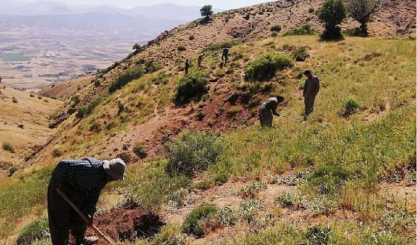 جنگل‌ها و مراتع جزو ثروت‌های ملی هستند و وقف‌ناپذیرند/ لزوم ابطال سندهای وقفی غیرقانونی