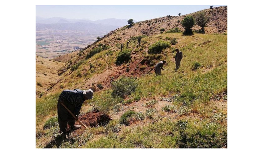 رویکرد دفتر امور مراتع در ارتباط با اصلاح و احیاء مراتع در سال 1402