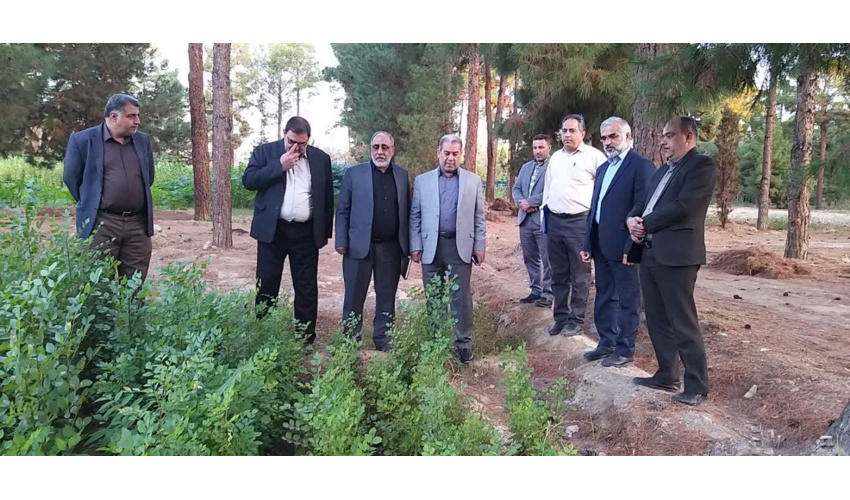 استان سمنان درچهار سال تولید 10میلیون نهال را بر عهده دارد 