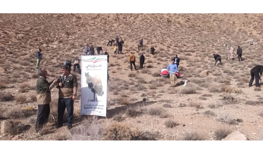 کاشت بذر انواع گیاهان مرتعی در ارتفاعات شهرستان مهدیشهر 