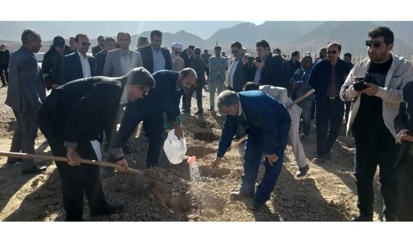 صنایع شاهرود سهم بیشتری در اجرای طرح ملی کاشت درخت داشته باشند 