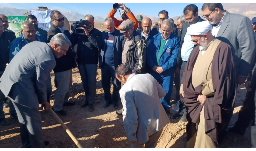 درختان یادگاری ارزشمند هستند/ ضرورت حفظ هوای پاک شاهرود 