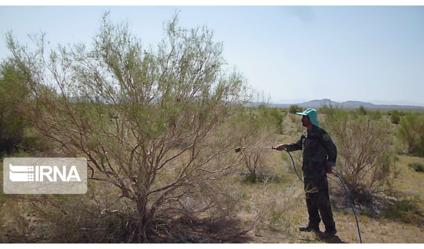 مجلس شورای اسلامی برای حمایت از عرصه های منابع طبیعی از هیچ کمکی دریغ نخواهد کرد