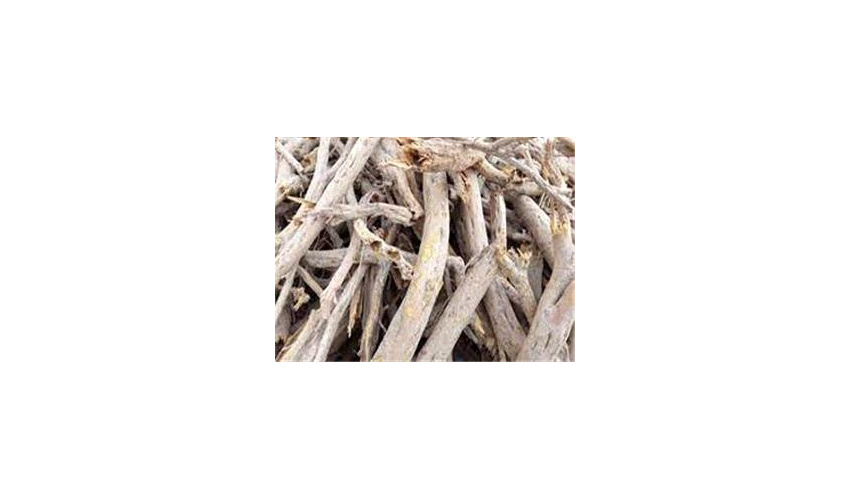 در هفته اخیر 3190 کیلو گرم چوب تاغ در سطح شهرستان میامی کشف و ضبط گردید.