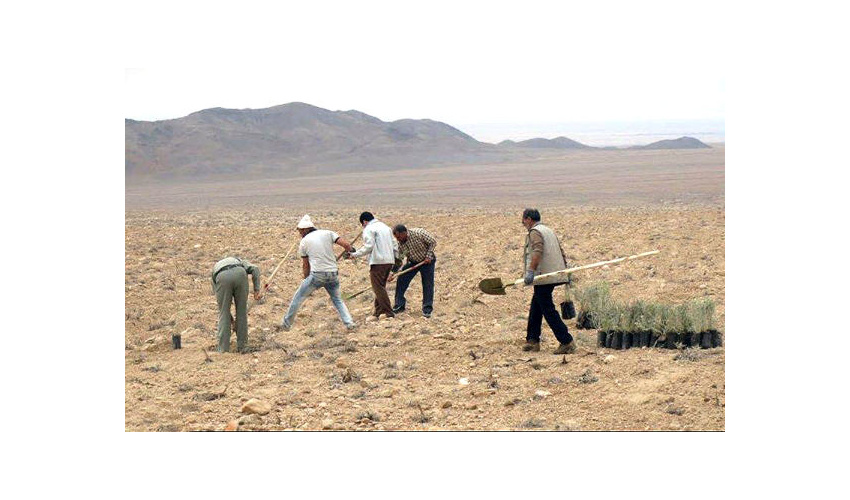 اجرا طرح بیابان زدایی در ۱۲۵ هکتار ازاراضی بیابانی منطقه جنوب دلازیان شهرستان  سمنان