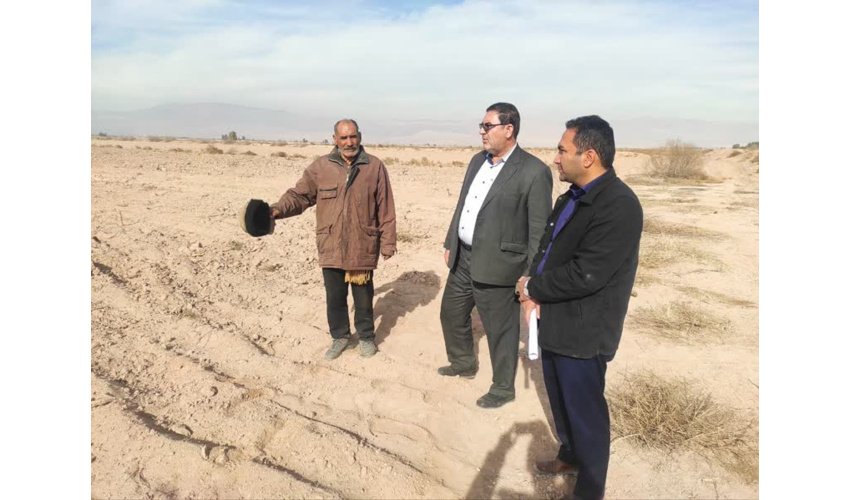 بازدید میدانی از طرح ملی زراعت چوب در شهرستان آرادان