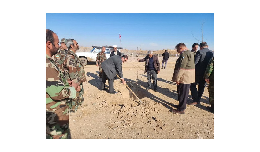 کاشت نهال در منطقه کویری چاه جام طرود  شهرستان شاهرود