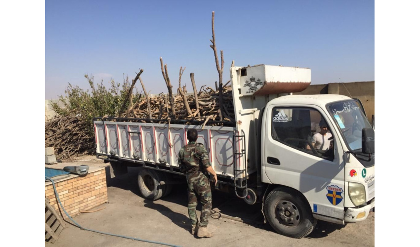 کشف یک تن چوب تاغ قاچاق درشهرستان میامی 