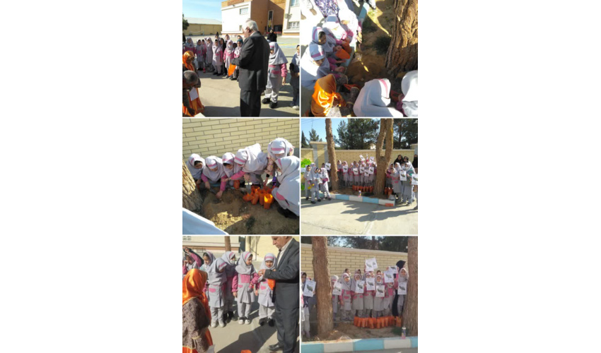 اجرای طرح شهید مرادی در راستای کاشت یک میلیارد درخت در مدرسه ابتدایی دخترانه شاهد امام خمینی (ره) شهرستان دامغان