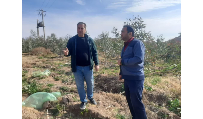 بازدید از اجرای طرح زراعت چوب به مساحت 10 هکتار و ایجاد طرح توسعه به میزان 11هکتار در شهرستان آرادان