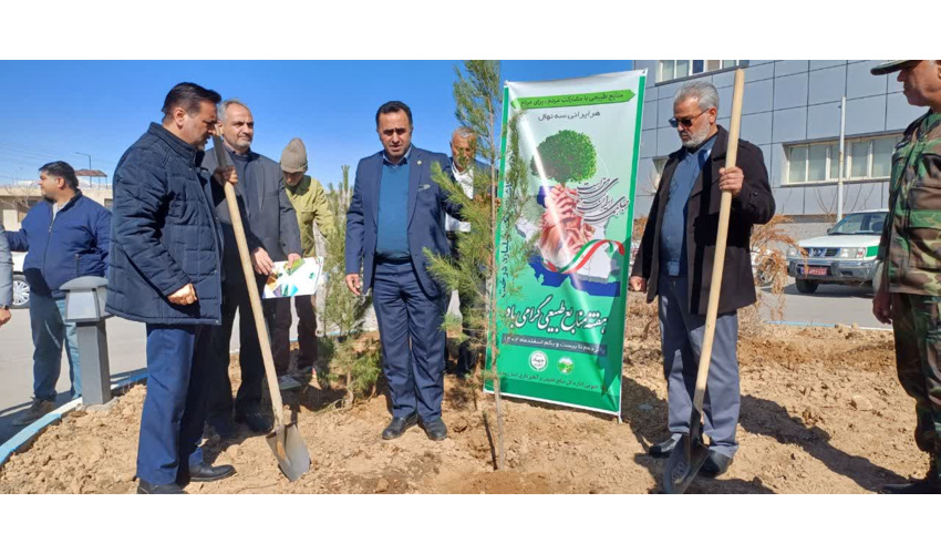 طرح نهال‎کاری سرمایه گذاری است / توسعه فضای سبز نیازمند تعامل و هم‎افزایی تمام دستگاه‎های اجرایی است