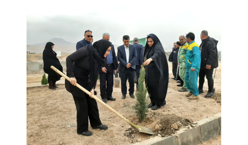 پیشی گرفتن استان سمنان از تعهد سالانه خود در کاشت نهال 