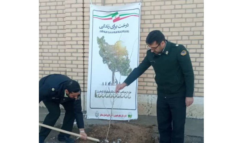 غرس نهال در هفته منابع طبیعی به یاد شهدای راسک و حافظان طبیعت