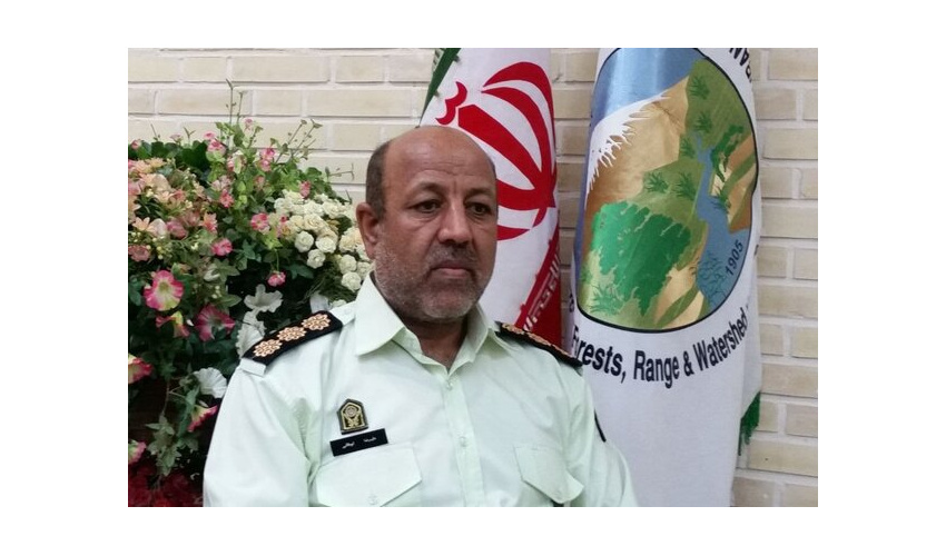 قدر جنگل ها را بدانیم/ اول فروردین ماه روز جهانی جنگل است