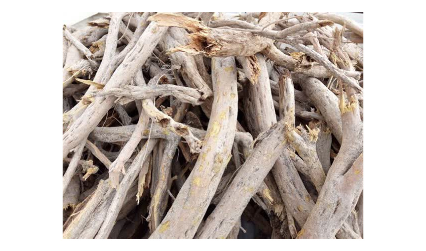 کشف ۶ تن چوب «تاغ» قاچاق در شهرستان شاهرود