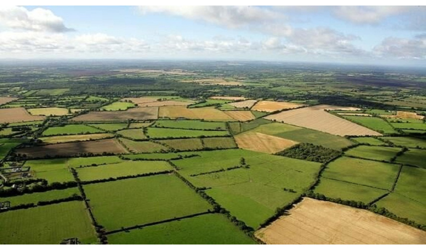 ۱۲۷ هزار هکتار اراضی کشاورزی استان سمنان سند دار شدند