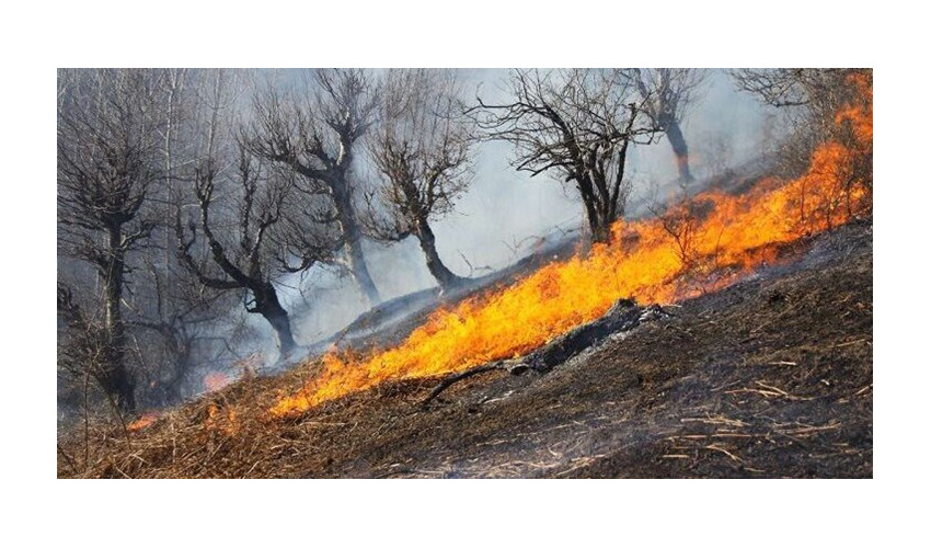 عامل آتش‌سوزی در طبیعت نباشیم