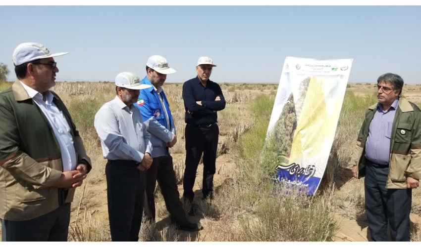 کاهش گرد و غبار و تصادف‌ها ارمغان اجرای طرح‌های بیابان‌زدایی در شهرستان گرمسار