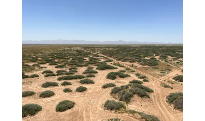 خسارت دیدن ۴۶۰ هکتار از عرصه‌های طبیعی در حریق خائیز/ آتش زدن کاه و کُلَش، عامل اصلی حریق در زاگرس 