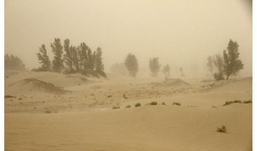 مجمع عمومی سازمان ملل یک دهه را به عنوان دهه مقابله با طوفان های ماسه و گرد‌و‌غبار اعلام کرد