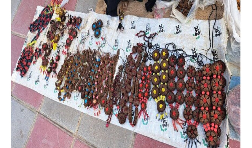 طرح کاشت یک میلیارد درخت با قدرت ادامه دارد/ مرز میان اراضی ملی با اراضی دولتی و خصوصی را با درختکاری مشخص کنیم 