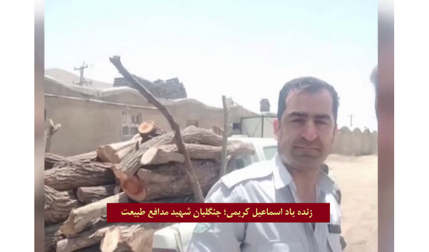  درگذشت شهادت گونه جنگلبان فداکار کردستانی آسیب دیده از اطفای حریق 