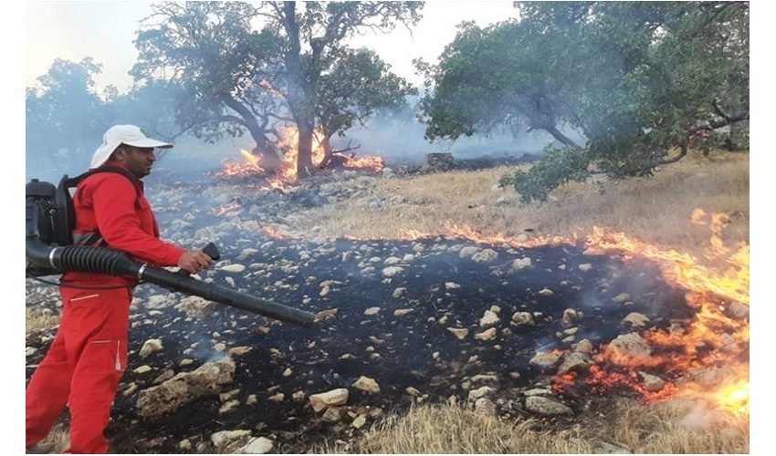 عامل آتش‌سوزی هشت هکتار از طبیعت شاهرود سهل‌انگاری گردشگران بود