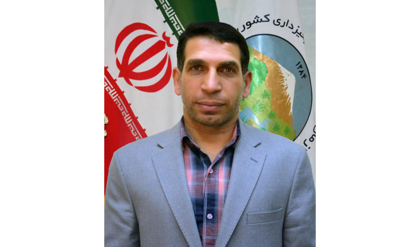 کشف یک تن چوب تاغ قاچاق در شهرستان سرخه