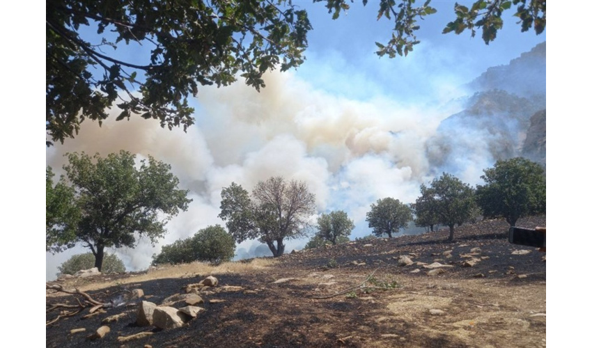 بی‌احتیاطی گردشگران و چوپانان، عامل اصلی آتش‌سوزی‌ در جنگل‌ها و مراتع