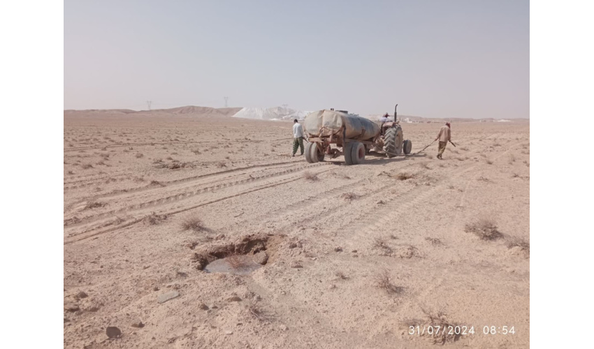 اجرای 100هکتار پروژه آبیاری سنواتی مراقبت و نگهداری در مومن آباد سرخه