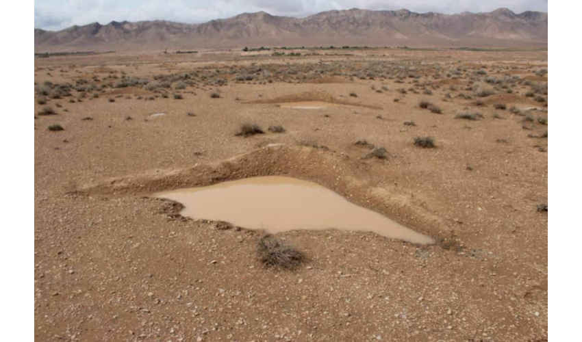 طرح مدیریت هرزآب در ۲۰۰ هکتار از بیابان‌های شهرستان آرادان اجرا شد