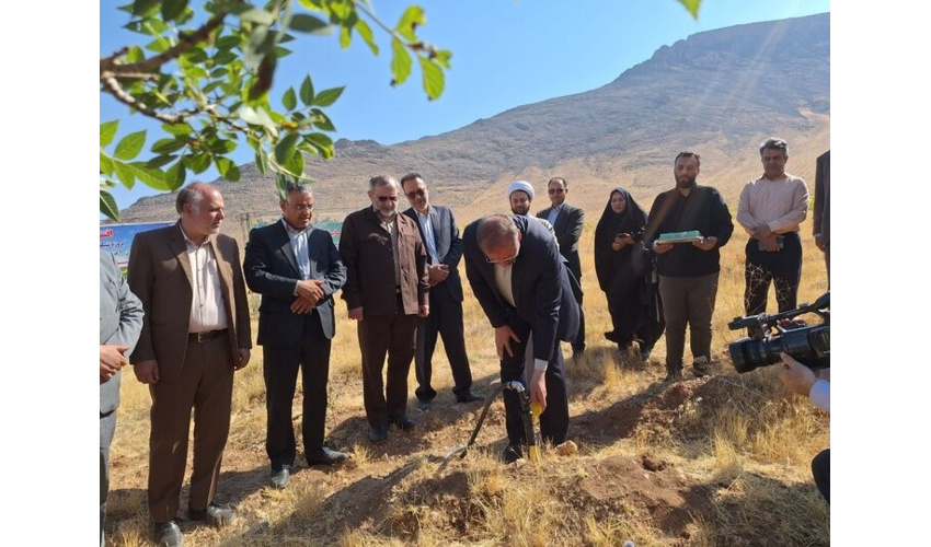 تولید بیش از ۲۴۰ میلیون اصله نهال در سال گذشته در کشور