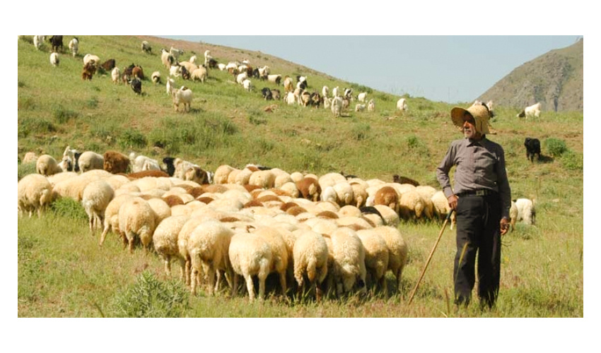 بررسی سایه روشن های مراتع کشور در کارگاه هم اندیشی دانشگاه علوم کشاورزی و منابع طبیعی گرگان