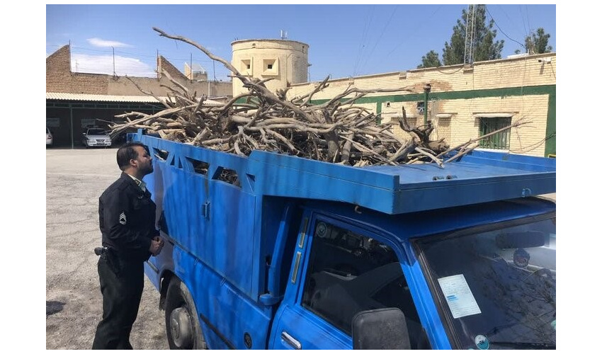 کشف یک تن چوب تاغ قاچاق در شهرستان میامی 