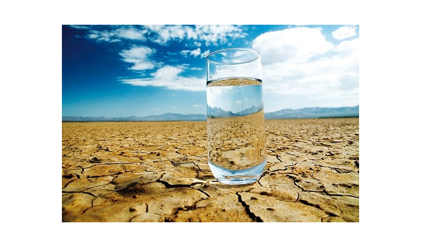 راه اندازی مجدد ایستگاه های تولید بذر گیاهان مرتعی و نقش کلیدی در توسعه منابع طبیعی پایدار 