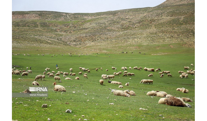  آغاز طرح‌های منابع طبیعی برای اجرای برنامه هفتم توسعه 