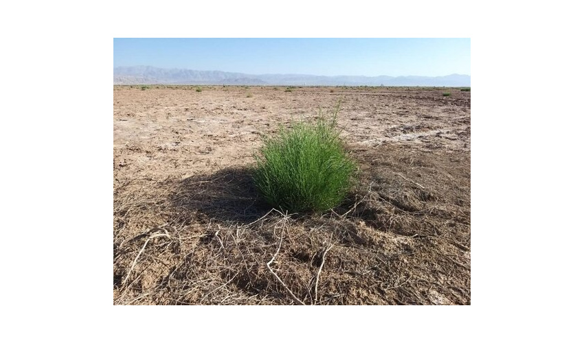 پروژه مدیریت رواناب در200 هکتار از اراضی تپه ماهوری و بیابانی  شهرستان آرادان آغاز گردید