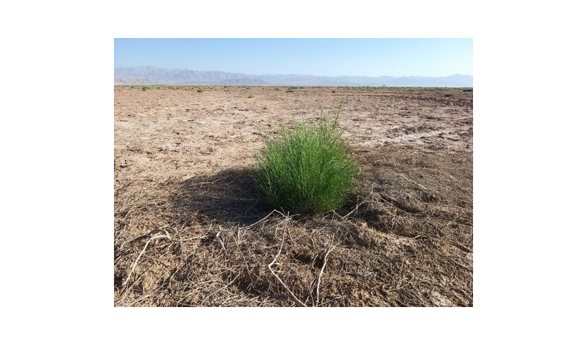 پروژه مدیریت رواناب در200 هکتار از اراضی تپه ماهوری و بیابانی شهرستان آرادان آغاز گردید