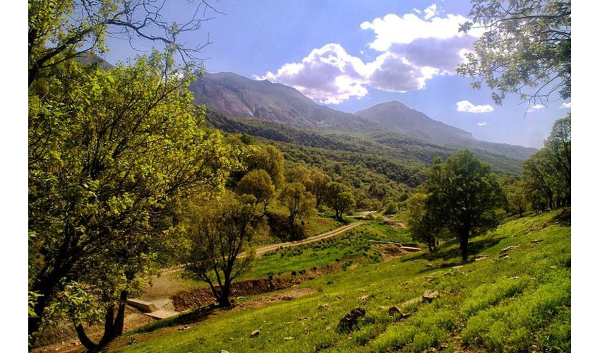 اقدامات جنگلبانان فداکار، تضمین کننده امنیت زیستی انسان ها