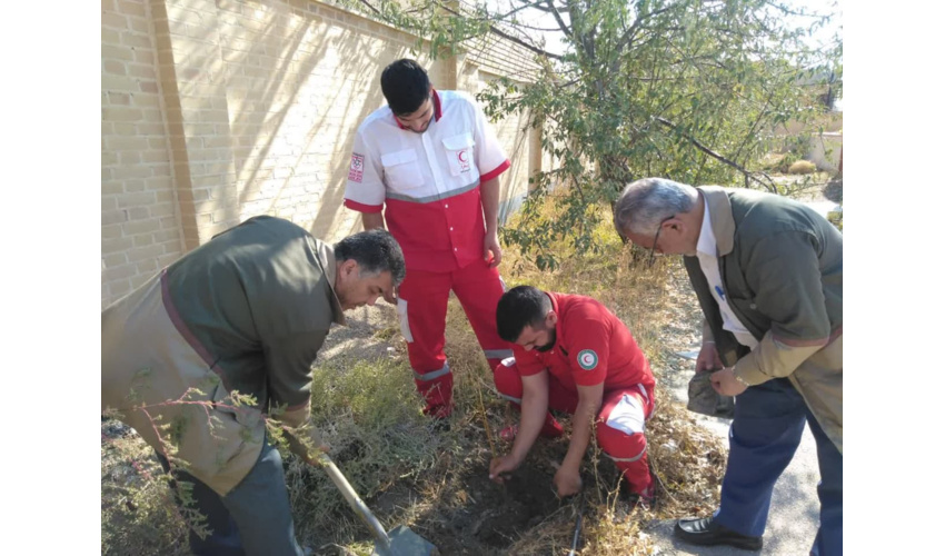 کاشت نهال در محوطه پایگاه هلال احمر نعیم اباد دامغان صورت پذیرفت